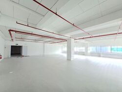 Perfect One (D13), Factory #530019401